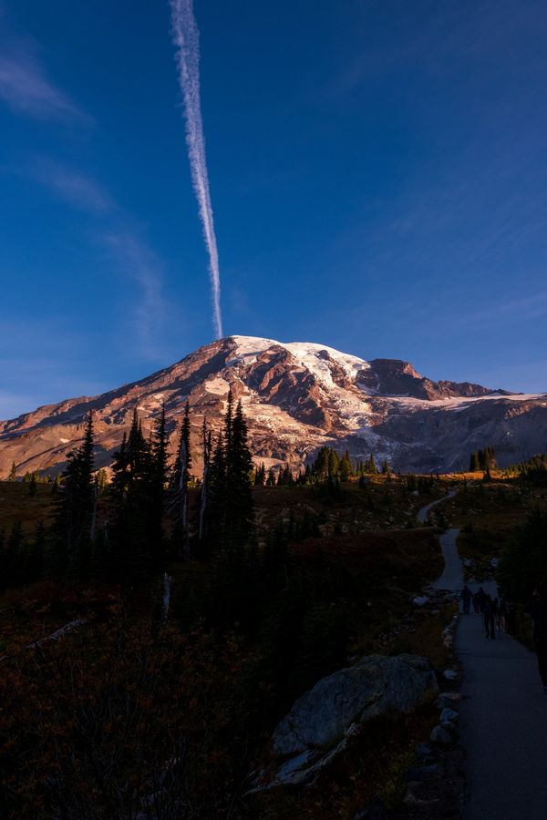 A contrail rises straight up from the summit of Mount Rainier above a trail of hikers